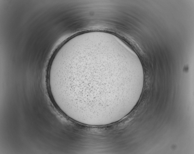 X0000116891086201001191800