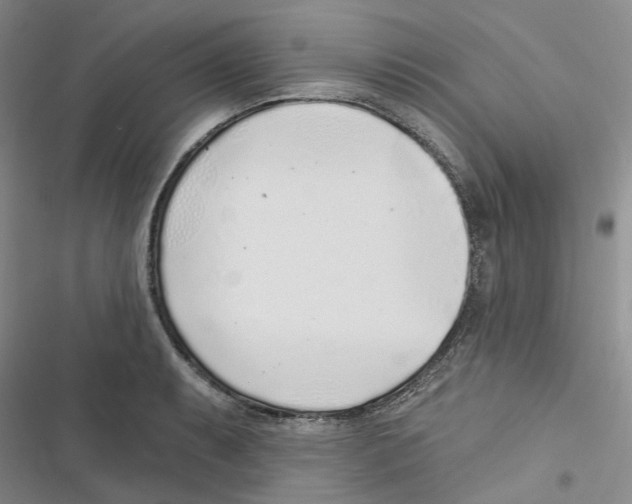 X0000116891087201001191800