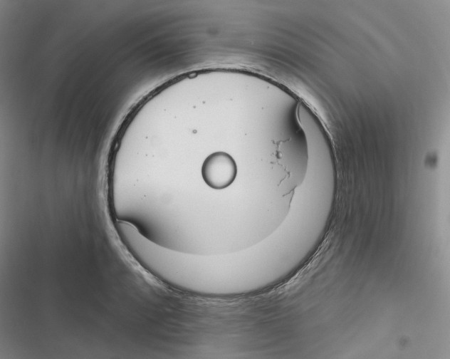 X0000116891088201001191800