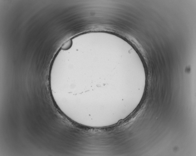 X0000116891089201001191800