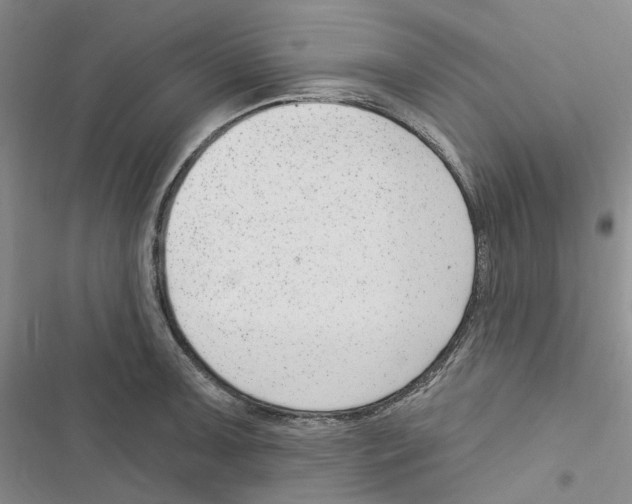 X0000116891091201001191800