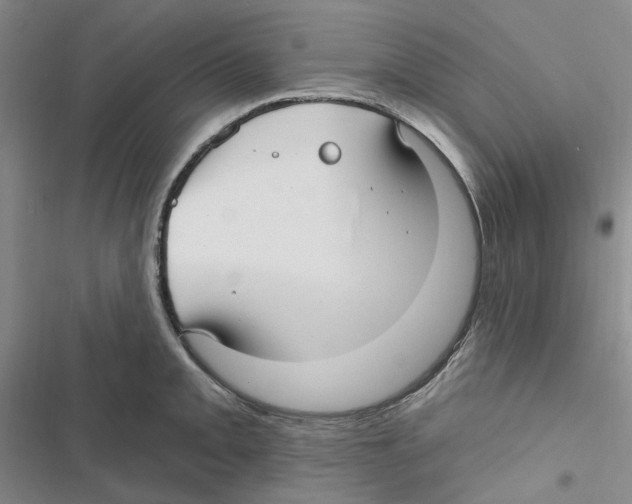 X0000116891093201001191800