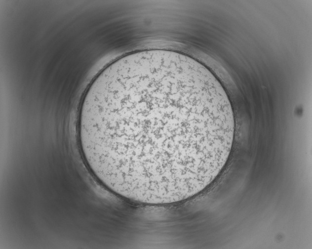 X0000116891094201001191800