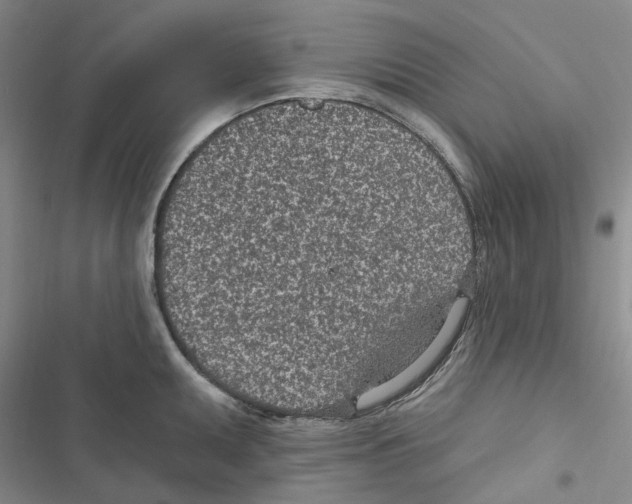 X0000116891095201001191800