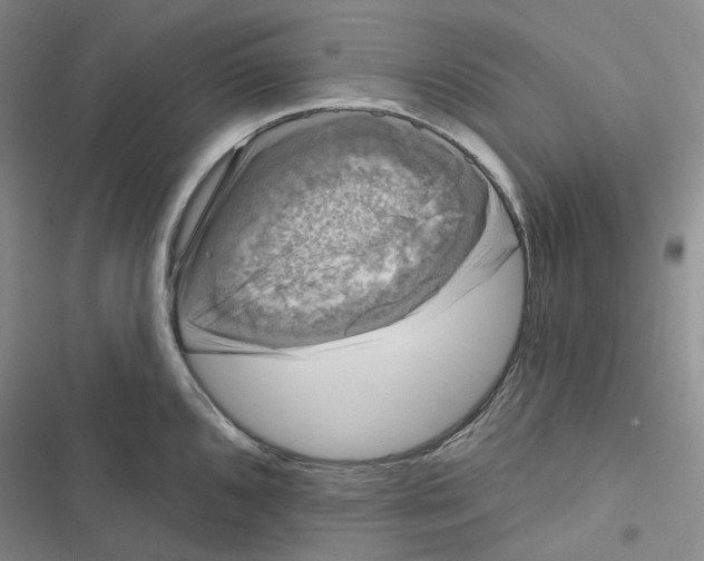 X0000116891096201001191800