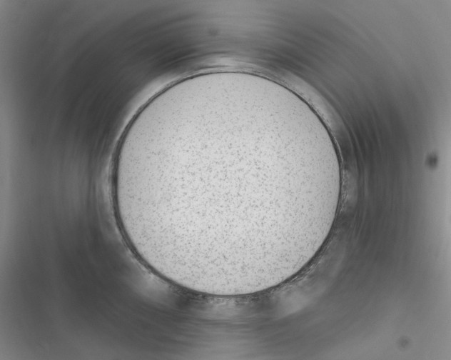 X0000116891098201001191800