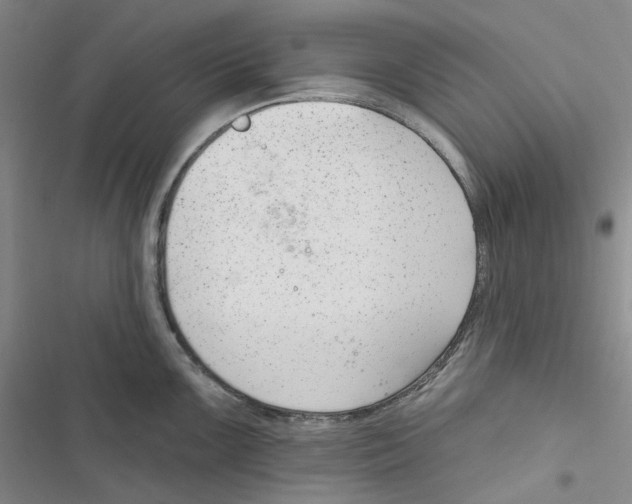 X0000116891099201001191800