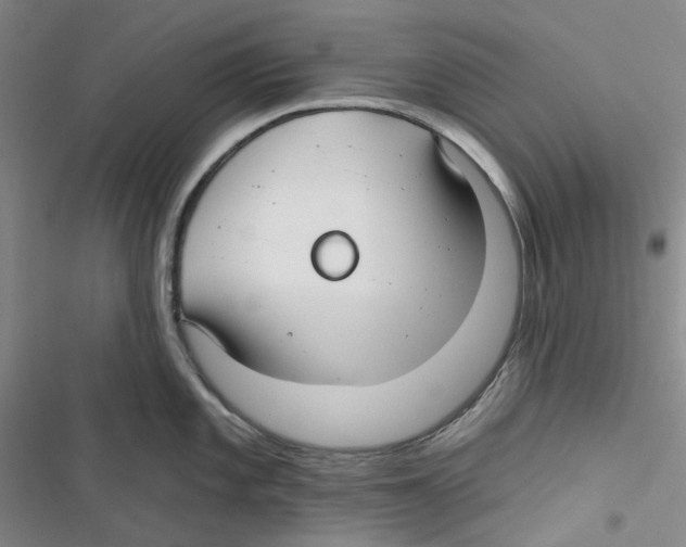 X0000116891101201001191800