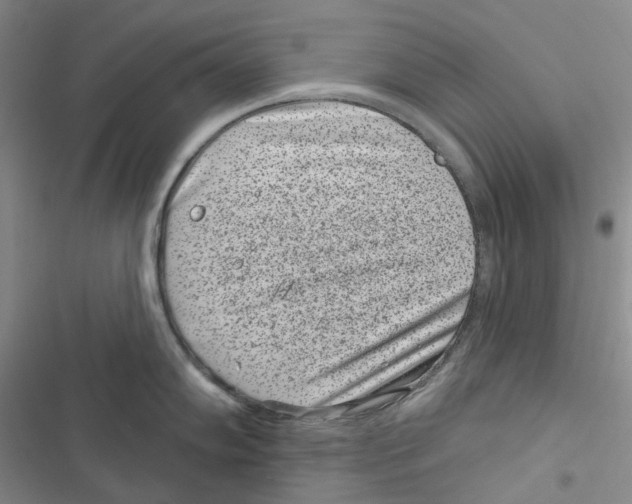 X0000116891102201001191800