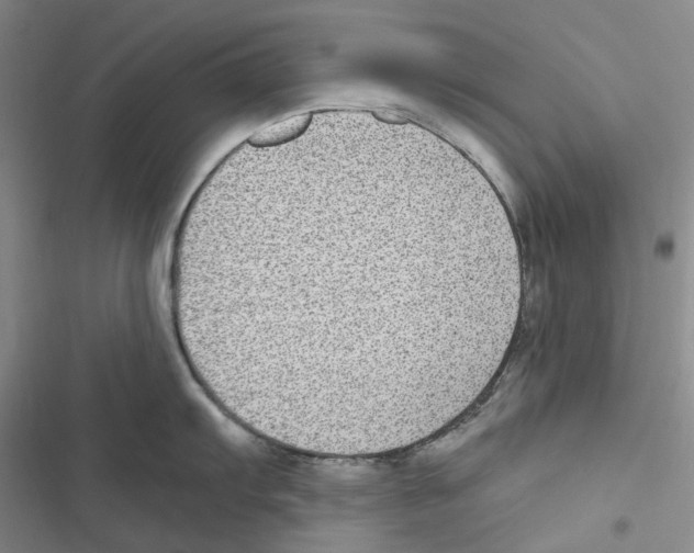 X0000116891103201001191800