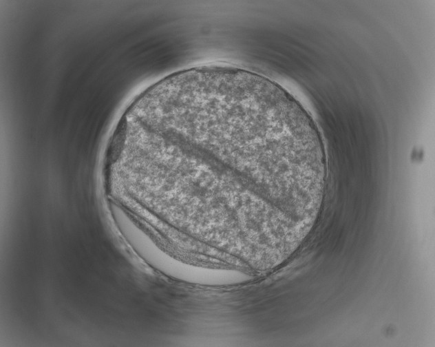 X0000116891104201001191800