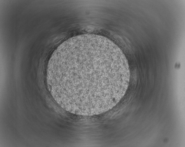 X0000116891105201001191759