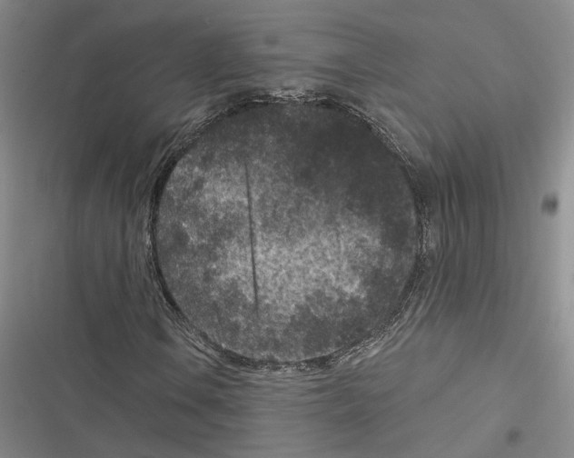 X0000116891106201001191759