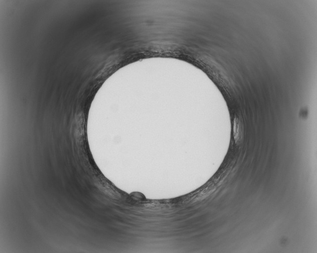 X0000116891107201001191759