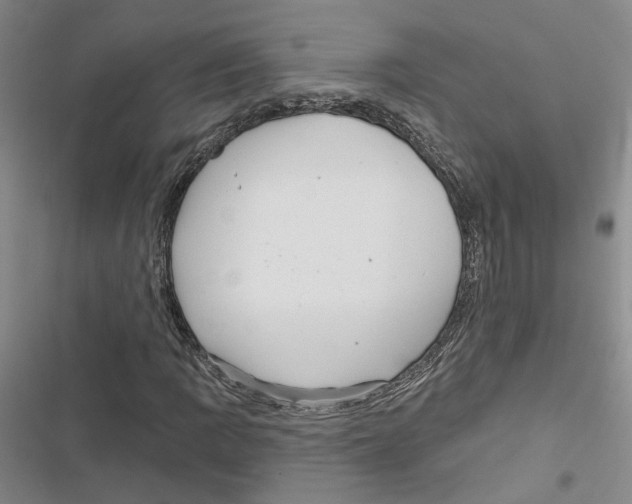 X0000116891109201001191759