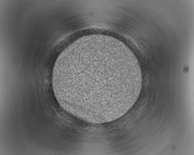 X0000116891110201001191759