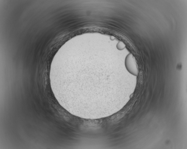 X0000116891111201001191759