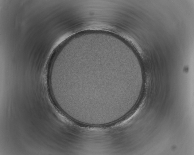 X0000116891114201001191759