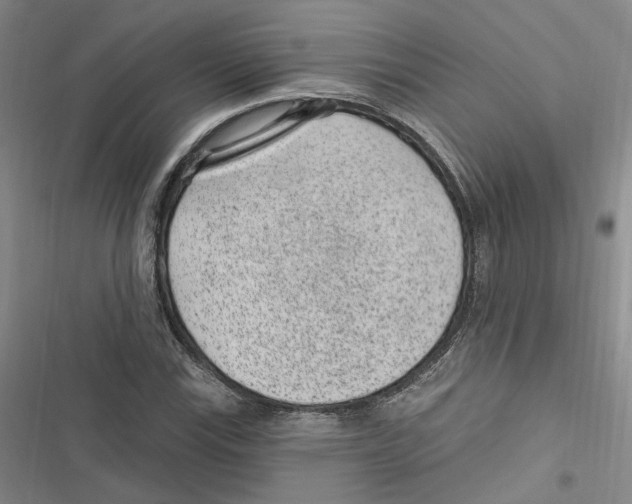 X0000116891115201001191759