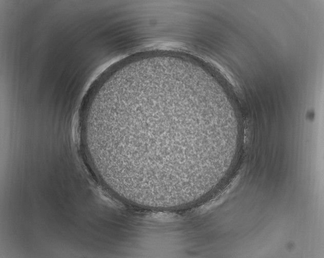 X0000116891117201001191759