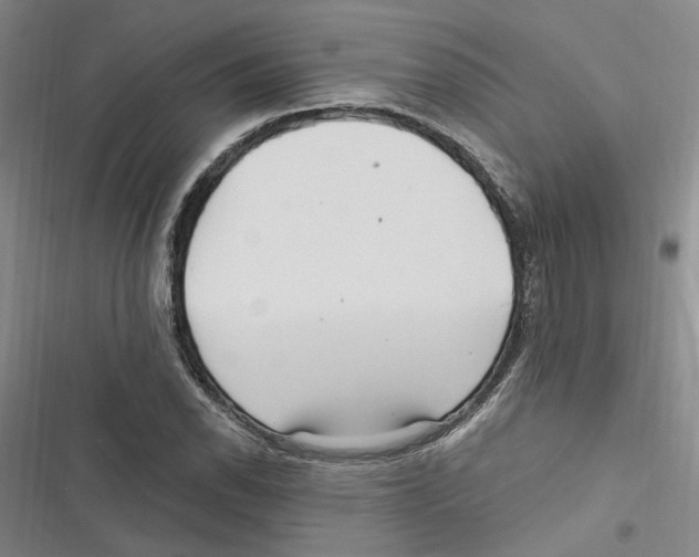 X0000116891118201001191800