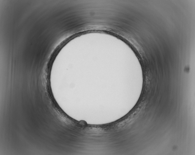 X0000116891119201001191800