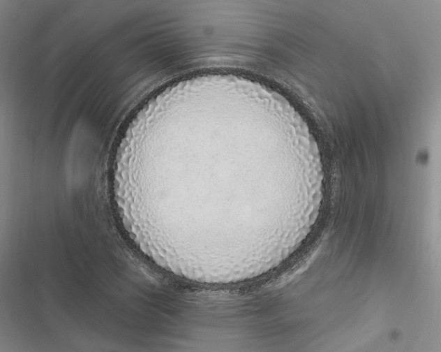 X0000116891121201001191800