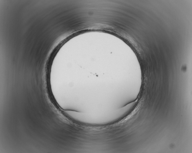 X0000116891122201001191800