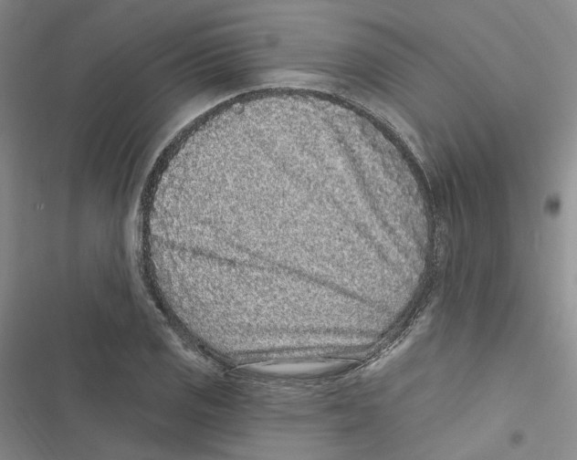 X0000116891125201001191800