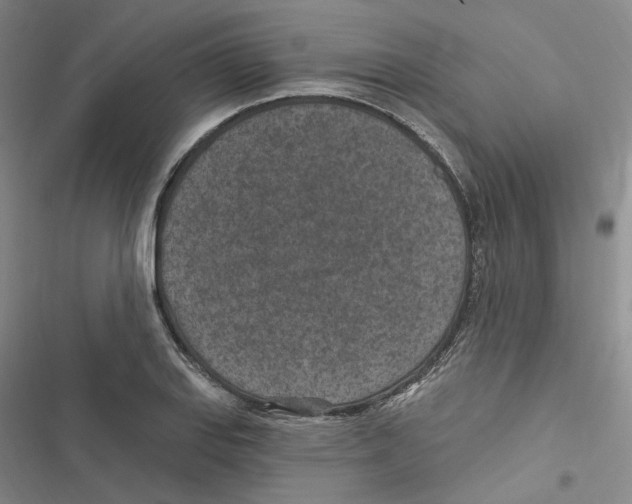 X0000116891127201001191800