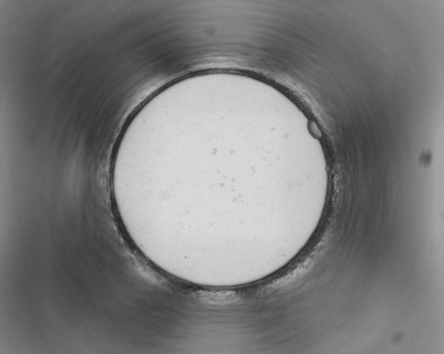 X0000116891129201001191800