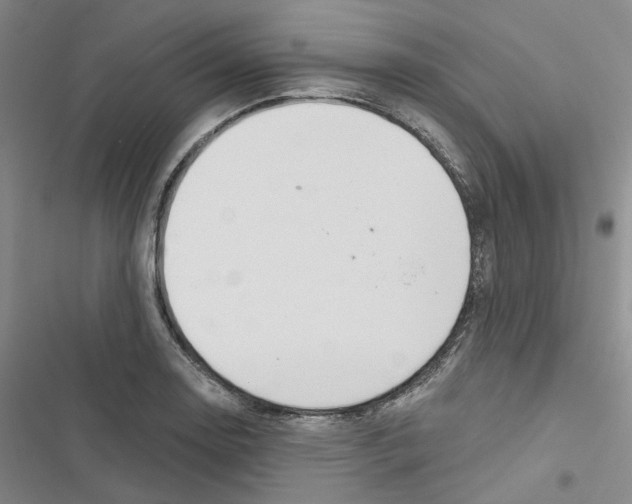 X0000116891130201001191800