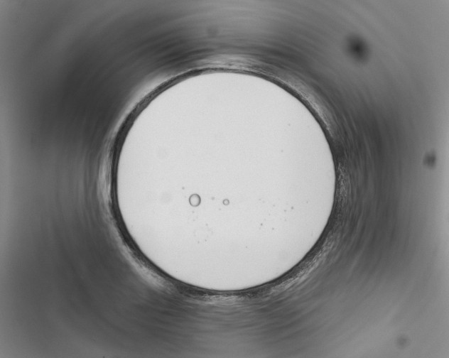 X0000116891131201001191800