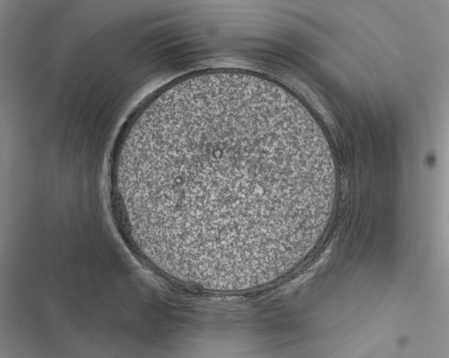 X0000116891133201001191800