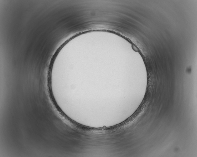 X0000116891134201001191800