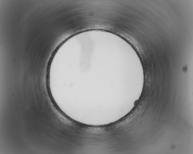 X0000116891135201001191800