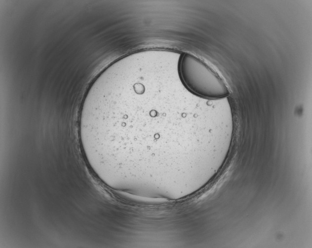 X0000116891137201001191800