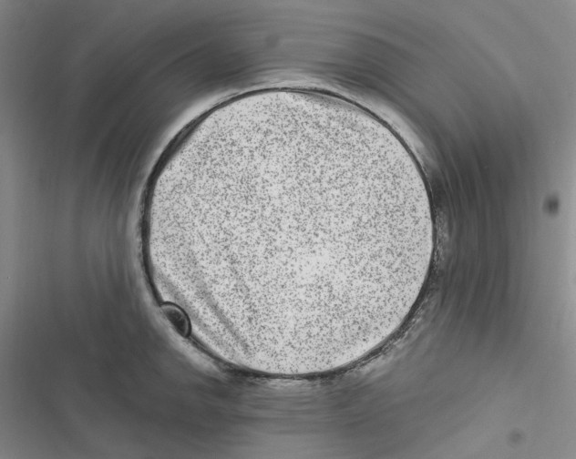 X0000116891142201001191800