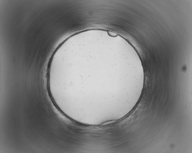 X0000116891143201001191800