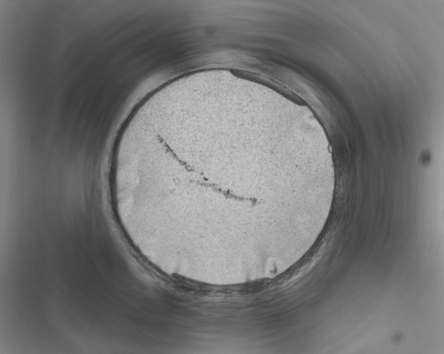 X0000116891146201001191800