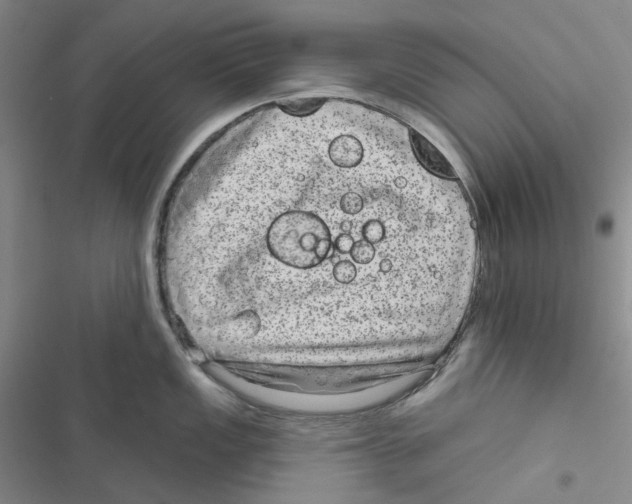 X0000116891149201001191800