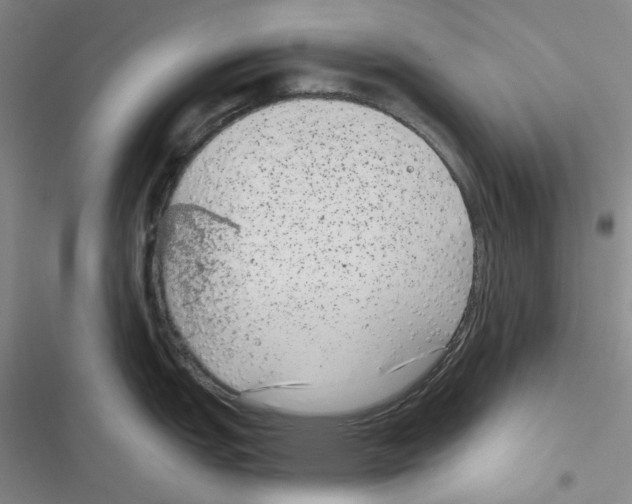 X0000116891151201001191800