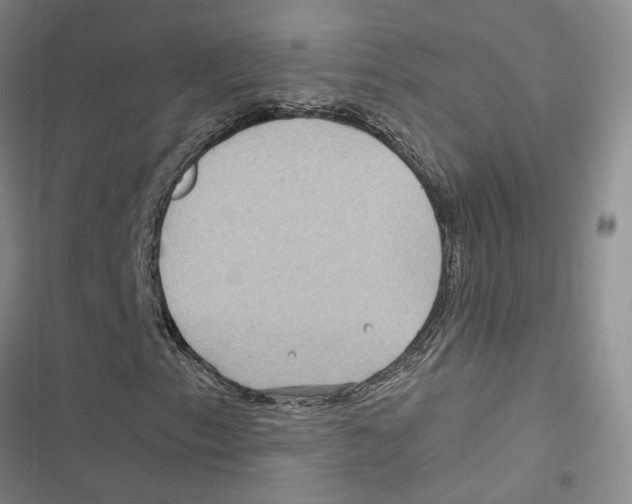 X0000116891153201001191759