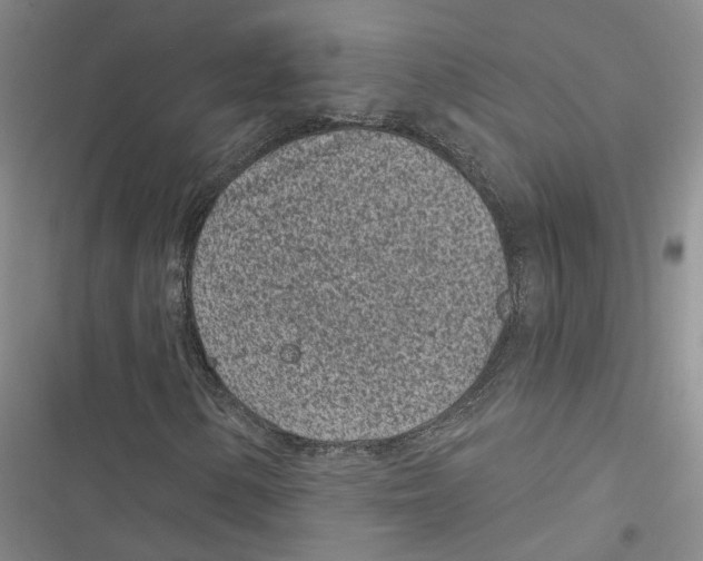 X0000116891154201001191759