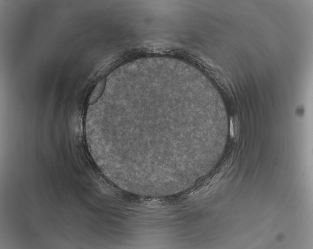 X0000116891155201001191759