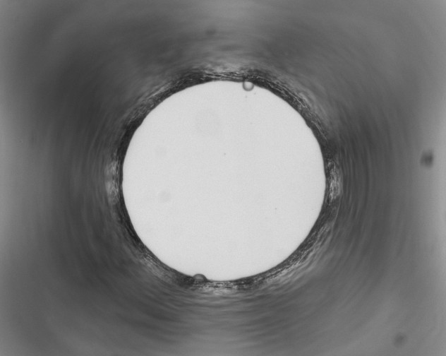 X0000116891156201001191759