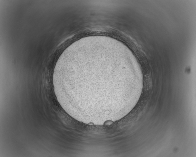 X0000116891158201001191759