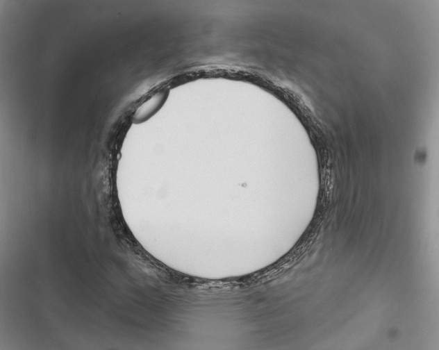 X0000116891159201001191759