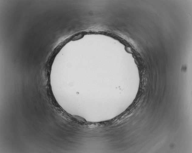 X0000116891160201001191759