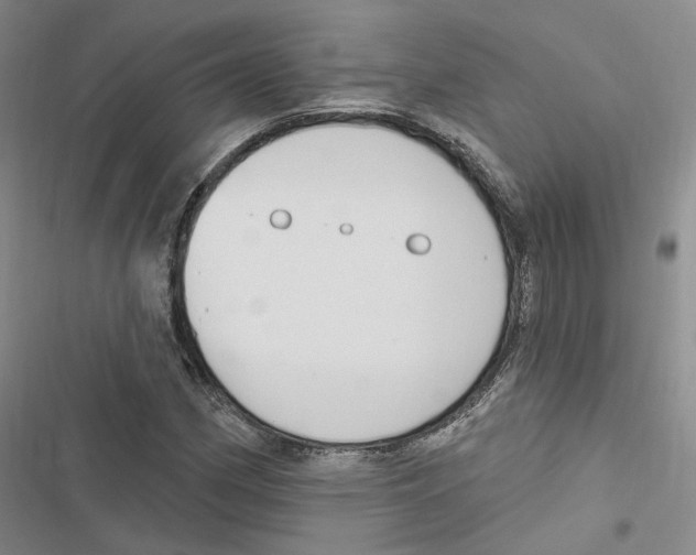 X0000116891162201001191759